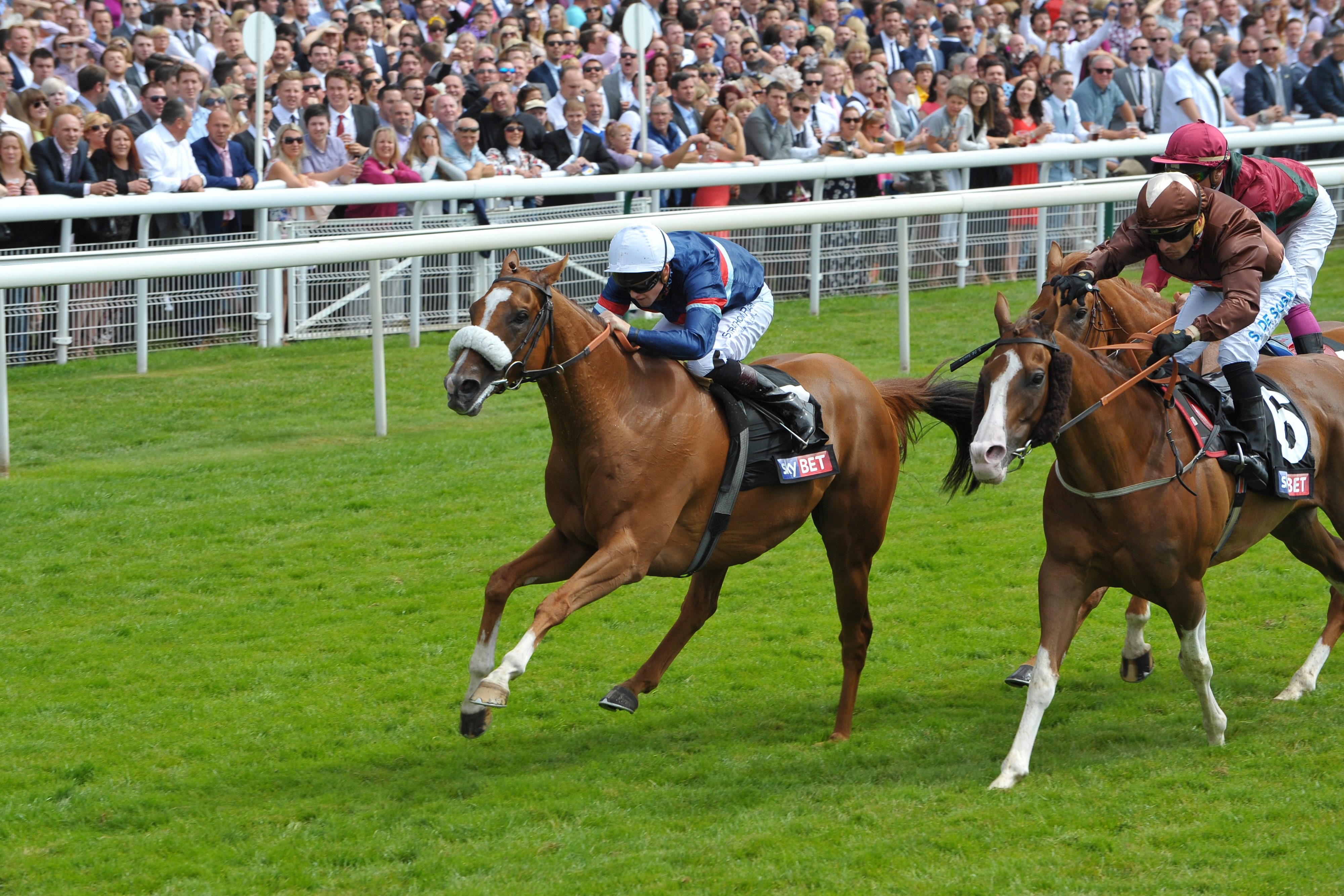 Tullius at York